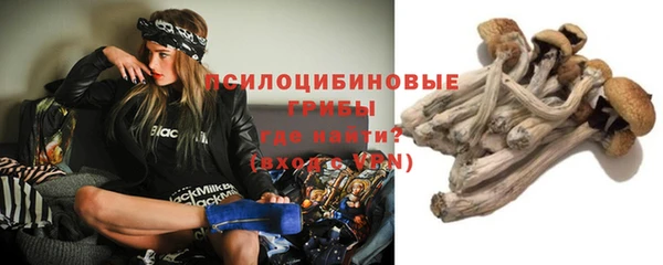 крисы Аркадак
