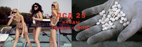 крисы Аркадак