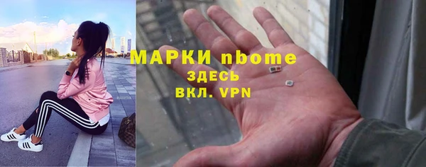крисы Аркадак