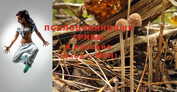 круглые Армянск
