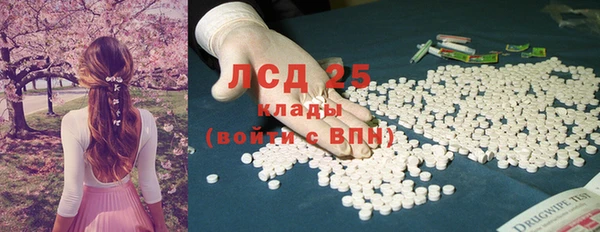 крисы Аркадак